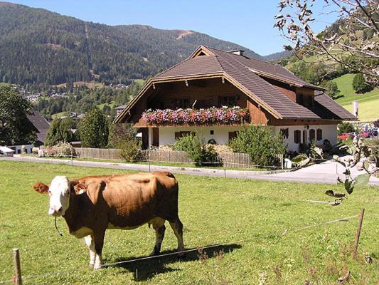 Appartement Unterwirt à Bad Kleinkirchheim Extérieur photo